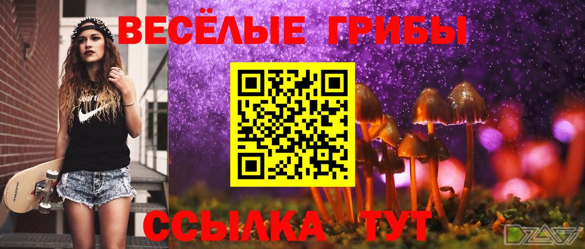 Галлюциногенные грибы прущие грибы Кемерово