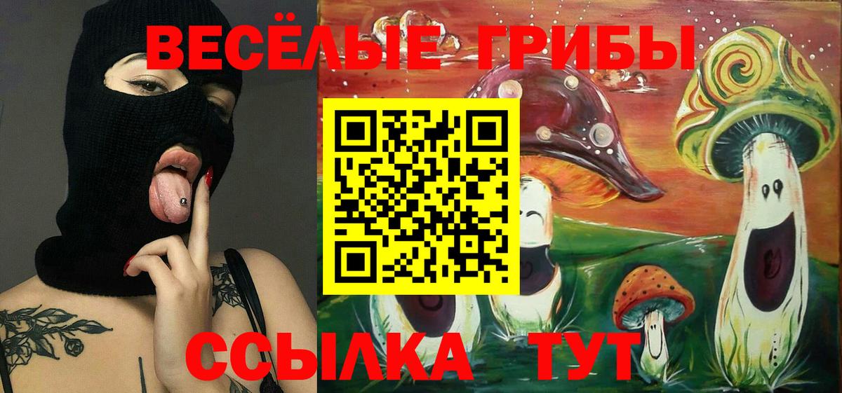 Кемерово  Псилоцибиновые грибы Cubensis  Вход с VPN  Галлюциногенные грибы Psilocybine cubensis 
